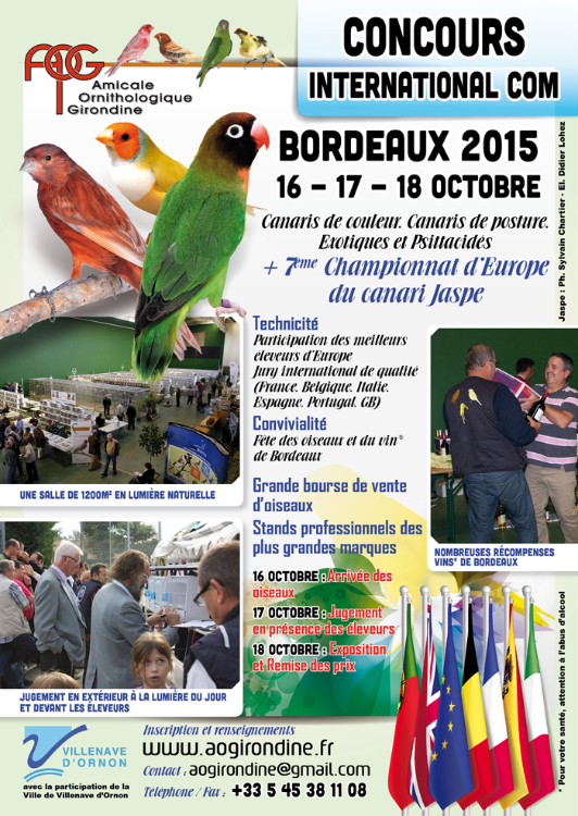 Bordeaux2015 (8)